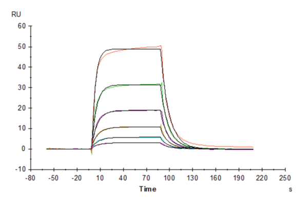 SPR with Human IL-3 R alpha/CD123 Protein 4460