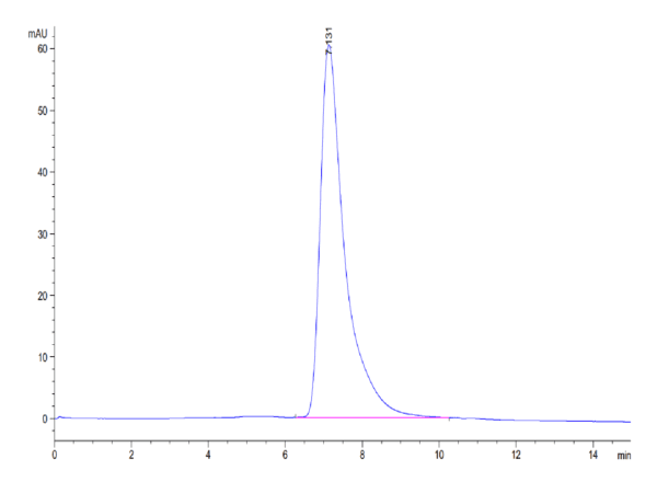 HPLC of Human IL-3 R alpha/CD123 Protein 4460