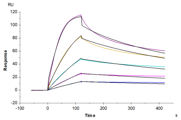 SPR with Mouse CD40/TNFRSF5 Protein 4471