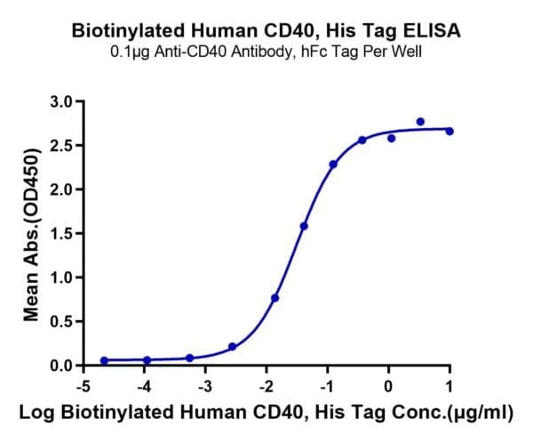 ELISA with Biotinylated Human CD40/TNFRSF5 Protein 4474