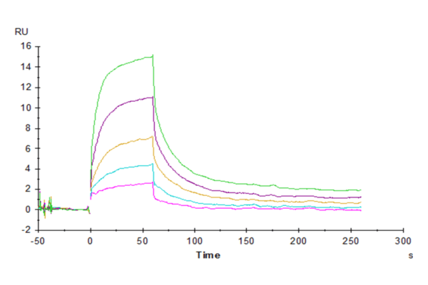 SPR with Human CD47 Protein 4477