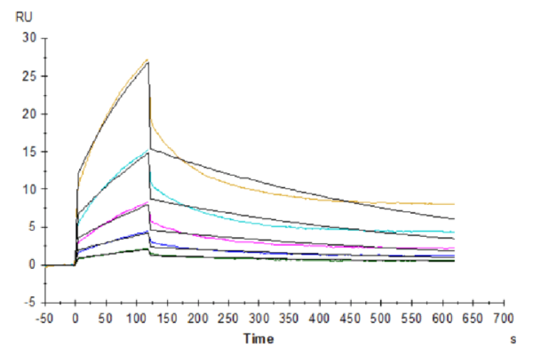 SPR with Human CD47 Protein 4478