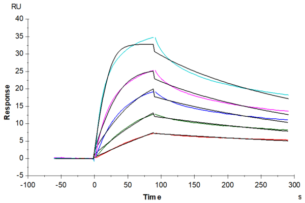 SPR with Biotinylated Human LDLR Protein 4482