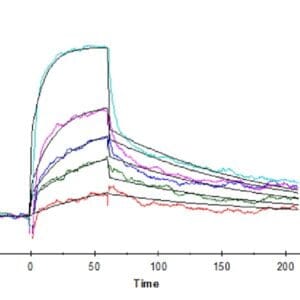 SPR with Human HLA-A*02:01&B2M&WT-1 (RMFPNAPYL) Monomer Protein 4484