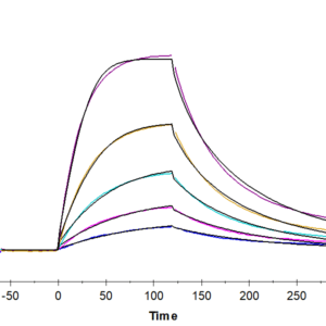 SPR with Human BAFF/TNFSF13B/CD257 Trimer Protein 4486
