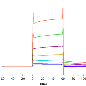 SPR with Human Fc gamma RIIB/CD32b Protein 4500