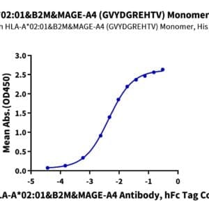 ELISA with Human HLA-A*02:01&B2M&MAGE-A4 (GVYDGREHTV) Monomer Protein 4522