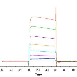SPR with Human Fc gamma RIIA/CD32a (H167) Protein 4554