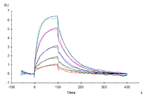 SPR with Human IL-13Ra1 Protein 4562