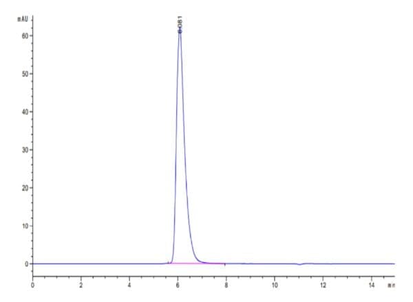 HPLC of Human IL-13Ra1 Protein 4562