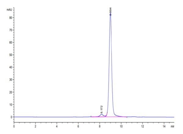 HPLC of Biotinylated Human HLA-A*02:01&B2M&P53 R175H (HMTEVVRHC) Monome 4568