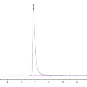 HPLC of Human Siglec-8 Protein 4570