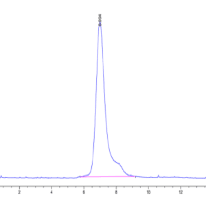 HPLC of Human Siglec-5/CD170 Protein 4574