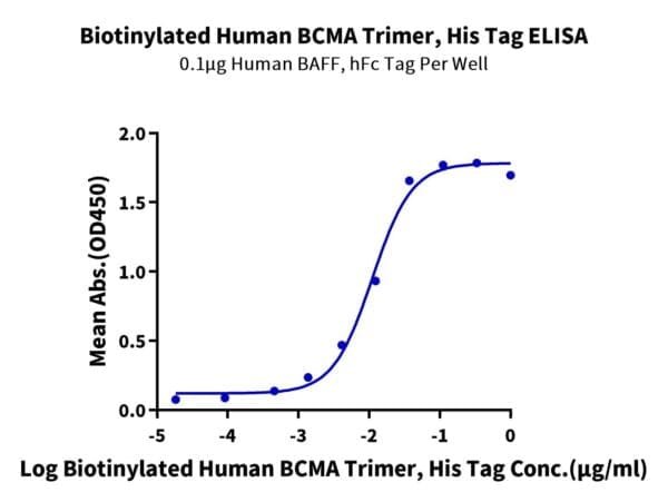 ELISA with Biotinylated Human BCMA/TNFRSF17 Trimer Protein 4580