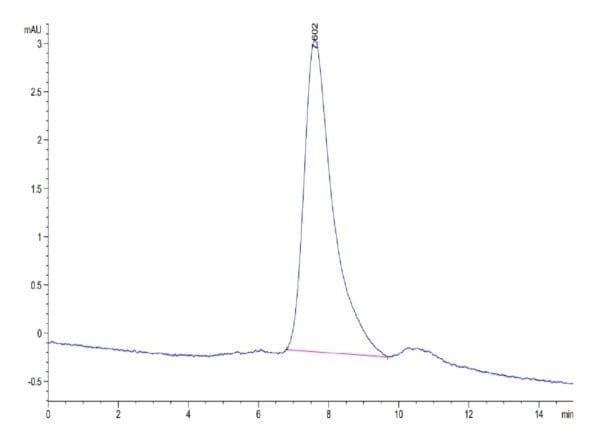 HPLC of Biotinylated Human BCMA/TNFRSF17 Trimer Protein 4580