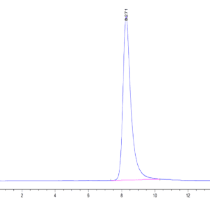 HPLC of Human ANGPTL7/CDT6 Protein 4597