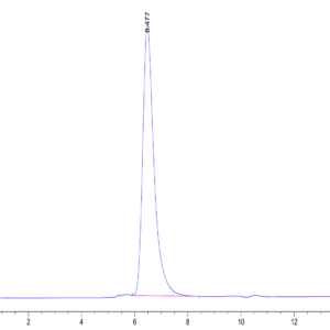 HPLC of Human LILRA6/CD85b/ILT8 Protein 4598