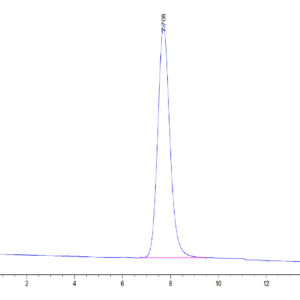 HPLC of Human LILRA5/CD85f/ILT11 Protein 4599
