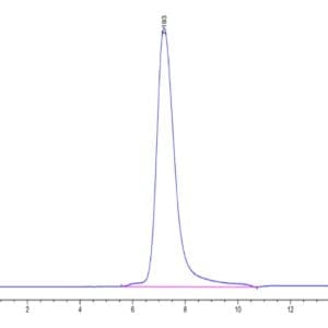 HPLC of Human LILRB5/CD85c/LIR-8 Protein 4604