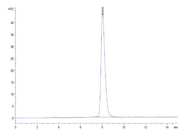 HPLC of Human LILRB1/CD85j/ILT2 Protein 4605