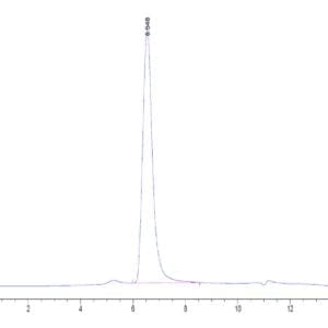 HPLC of Human DKK3 Protein 4614