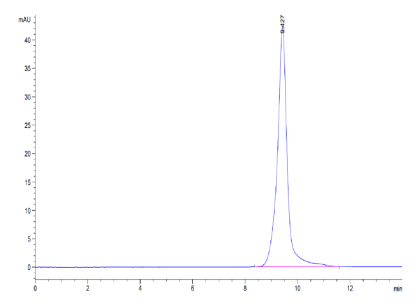 HPLC of Human ULBP-2 Protein 4624