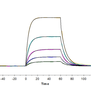 SPR with Human IL-2 R beta/CD122 Protein 4636