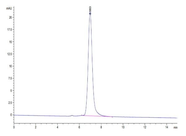 HPLC of Biotinylated Human PD-L1/B7-H1 Protein 4645