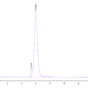 HPLC of Mouse CD24 Protein 4646