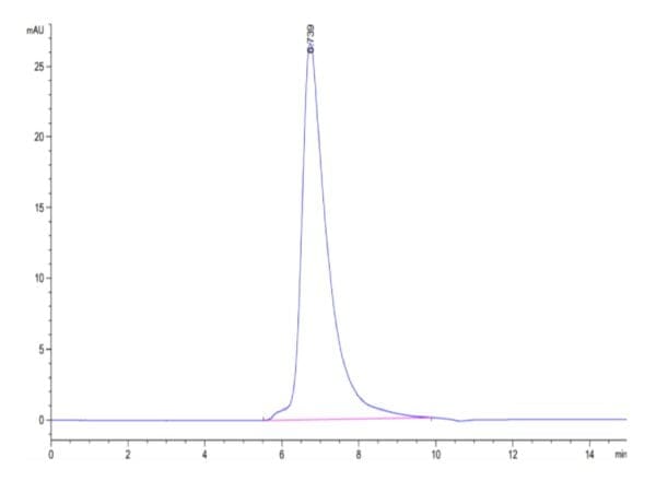 HPLC of Cynomolgus TNFR2/CD120b/TNFRSF1B Protein 4648