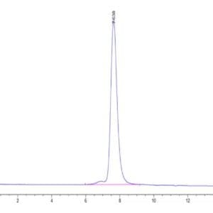 HPLC of Human KIR2DL3 Protein 4652