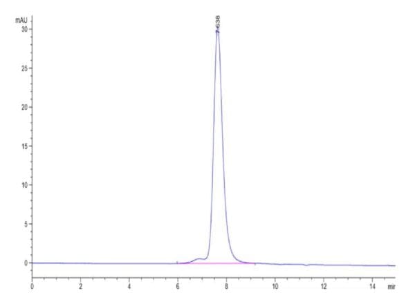 HPLC of Human KIR2DL3 Protein 4652