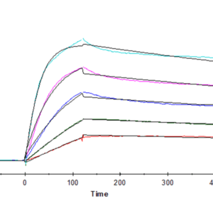 SPR with Human LAIR1/CD305 Protein 4653