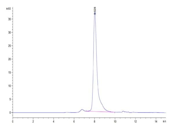 HPLC of Human Notch 3 Protein 4656