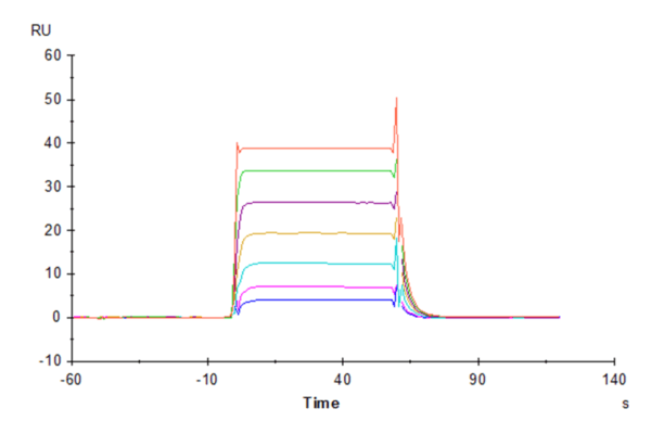 SPR with Human NKp30/NCR3/CD337 Protein 4658