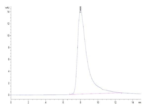HPLC of Human NKp30/NCR3/CD337 Protein 4658