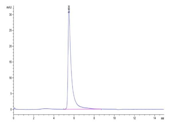 HPLC of SARS-COV-2 Spike S1 Protein 4665