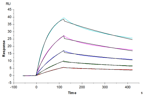 SPR with Human TNFR2/CD120b/TNFRSF1B Protein 4669