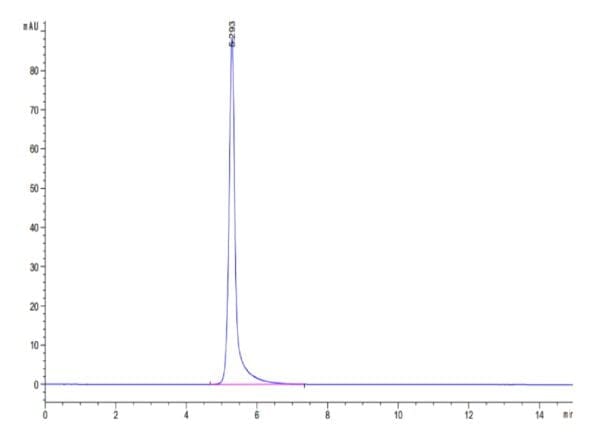 HPLC of Human TNFR2/CD120b/TNFRSF1B Protein 4669