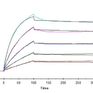 SPR with Human Beta Klotho Protein 4670