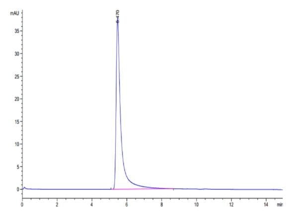 HPLC of Biotinylated Human P-Selectin/CD62P Protein 4676