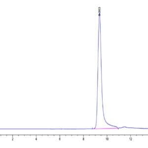 HPLC of Human Azurocidin/CAP37/AZU1/HBP Protein 4681