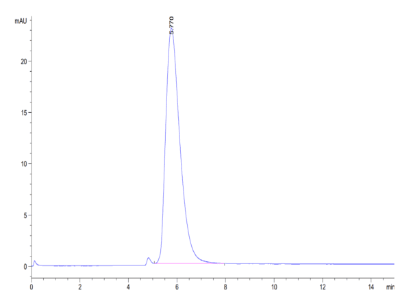 HPLC of Biotinylated Cynomolgus ACE2/ACEH Protein 4682