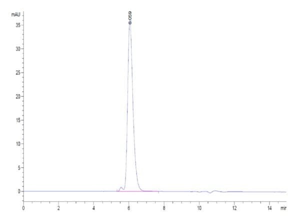 HPLC of Biotinylated Human MSLN/Mesothelin Protein 4683