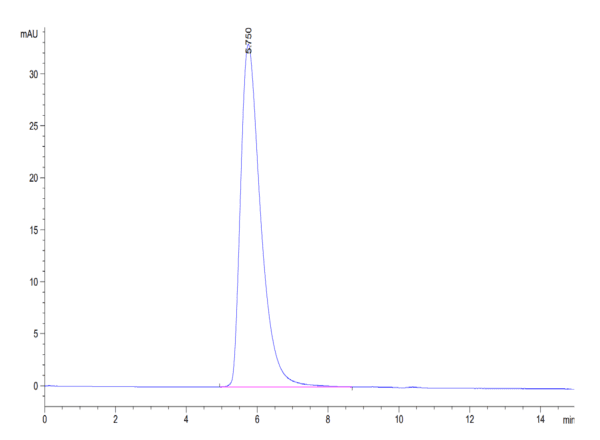 HPLC of Cynomolgus ACE2/ACEH Protein 4685