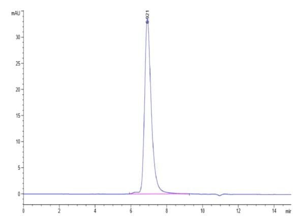 HPLC of SARS-COV-2 Spike RBD Protein 4686