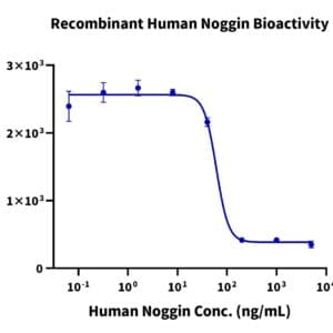Cell based assay with Human Noggin Protein 4688
