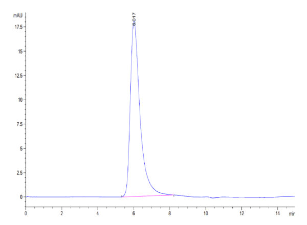 HPLC of SARS-COV-2 Spike S1 Protein 4690