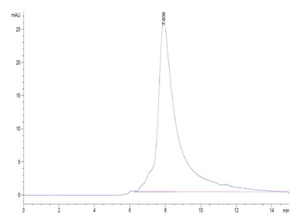 HPLC of Biotinylated Human NKG2D/CD314 Protein 4696