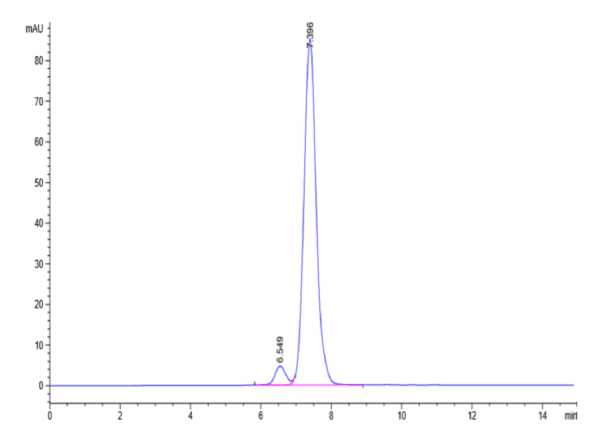 HPLC of Human GITR Ligand/TNFSF18 Trimer Protein 4709